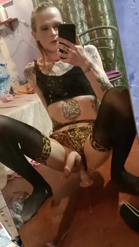 Rainbowdracat: Mi pequeño consolador juega