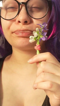 Espirrando sem parar depois de cheirar essa flor, ela aumentou rápido
