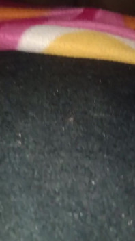 Żona z mężem przed dwójką przyjaciół