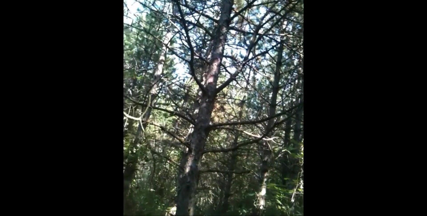 Sexy O2: 性感的 O2，T&amp;a 609 （01） - 第一人称视角后入式，穿着衣服的法国女孩