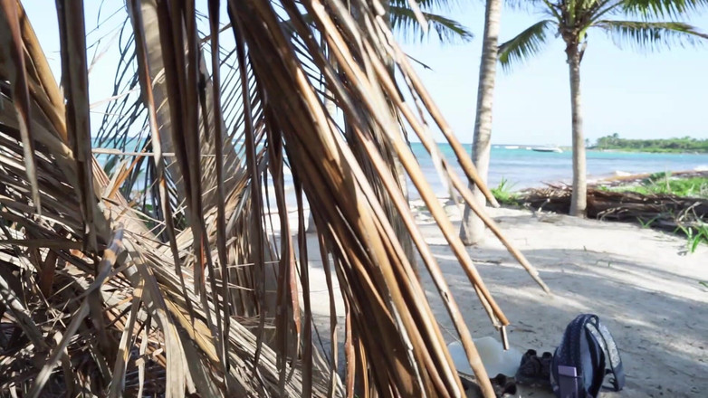 Primiciax: Latina Gozada Interna E Facial Na Praia