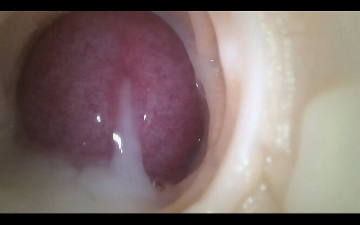 Master of porn: Evlilik başarısızlığı bakıyor