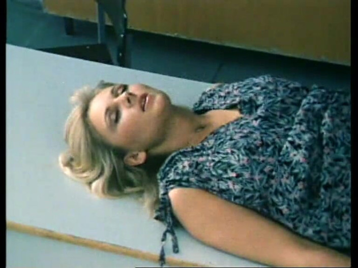 GERMAN PORN CLASSICS: The Wild Lusts of My college Friends Herzog Video