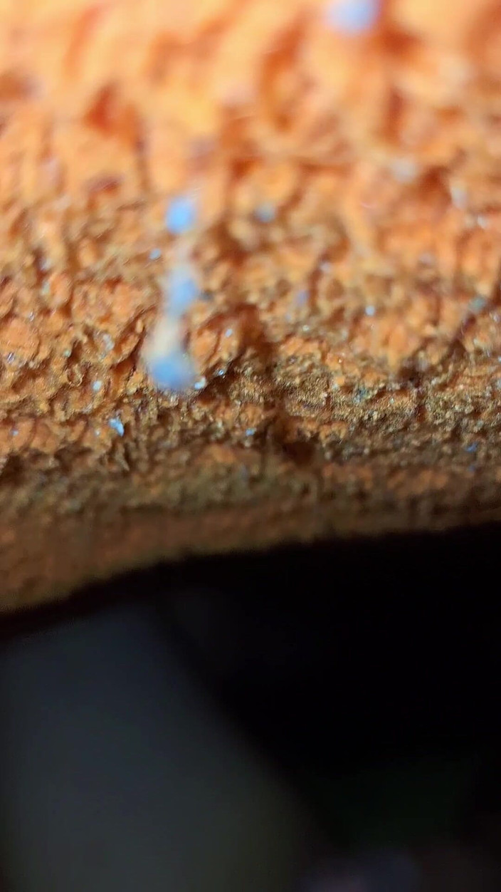 Natal_Boy: Ich wurde fast von meiner stiefschwester beim masturbieren erwischt