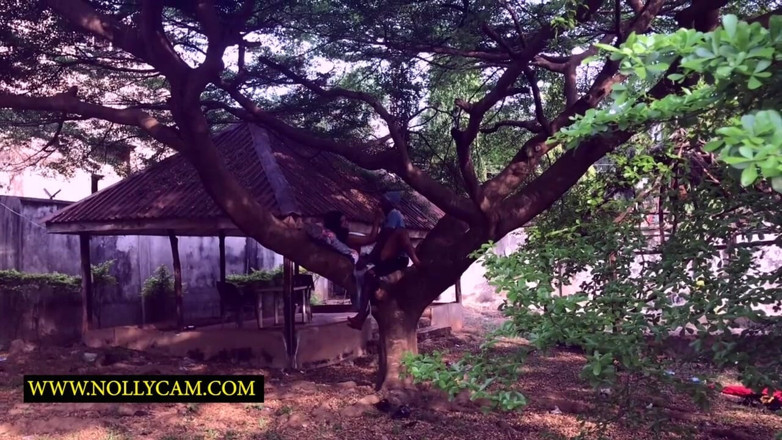 NOLLYCAM AFRICA: Cinta lokal di pohon, h ngentot aku di belakang rumah...