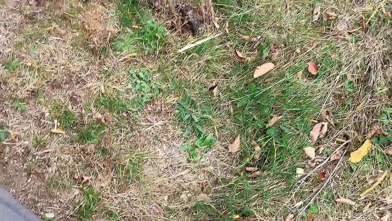 sweethanajapanese: Kencing pepek Hana Seksi Dalam Video Rekod Udara Sejuk Kencing...