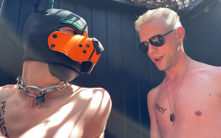 Project Y studios: Troia in vacanza