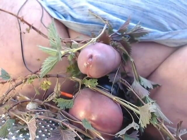 Gaylectrician: Fun with nettles