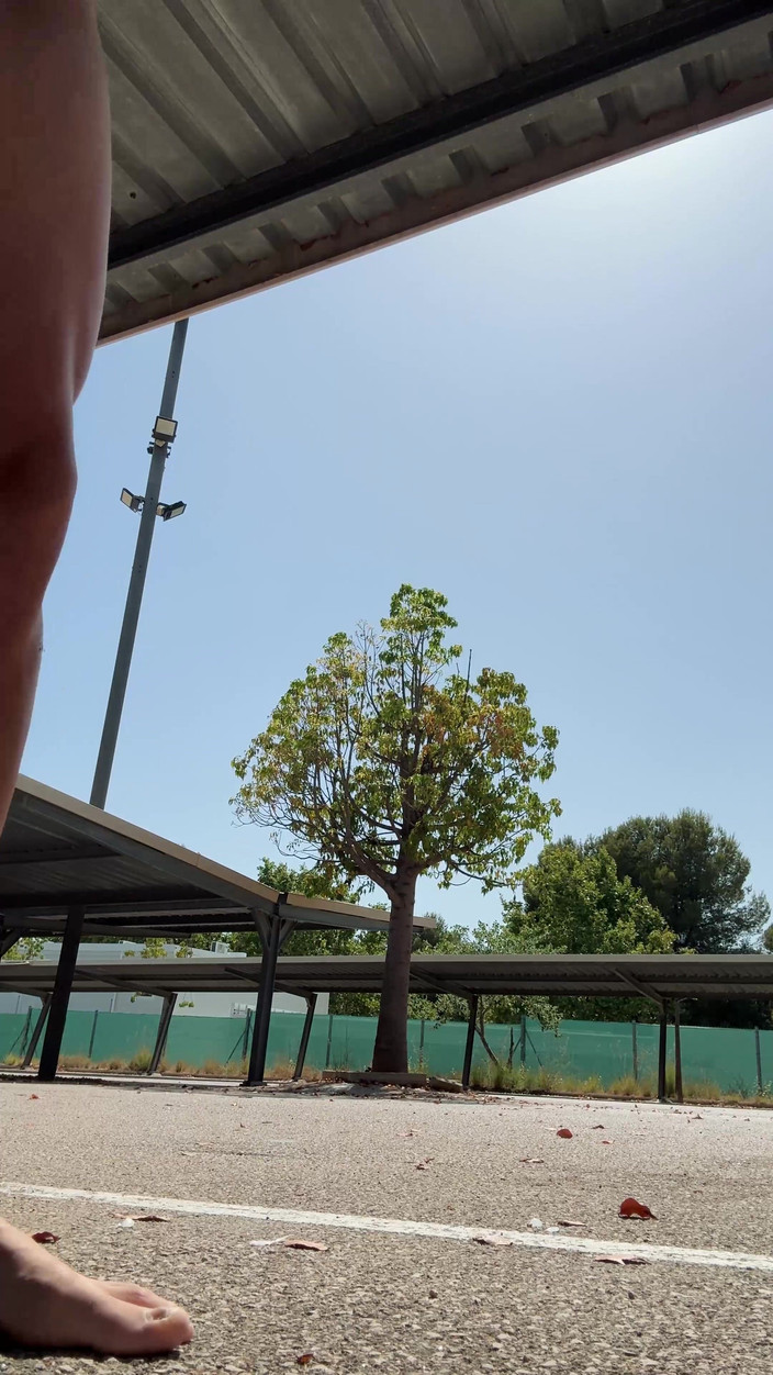 Paul Williams: Nackt auf dem Parkplatz spazieren, bis ich entdeckt werde