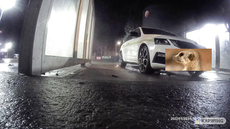 Lingeriemanx69: Lavage de voiture en bas 1