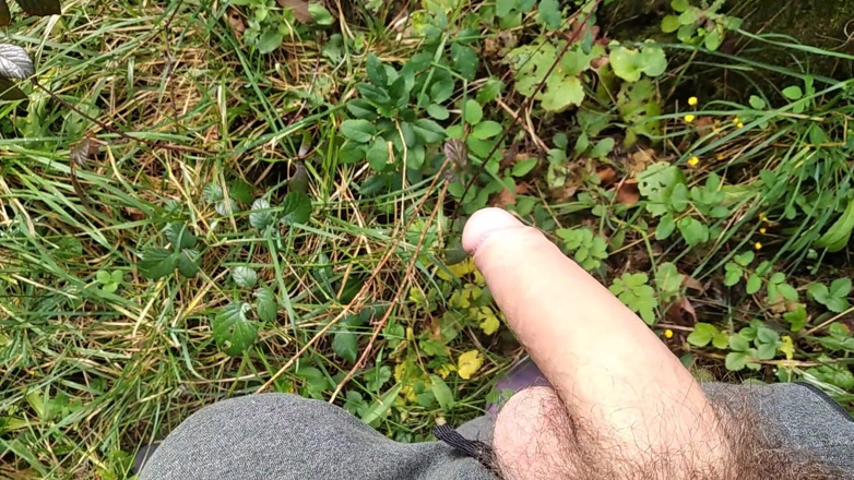 Elvissc: The Horny Stepfather Went on a Hike, When He Took...