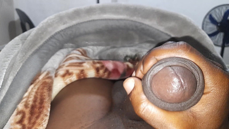 Bumba: 맛있는 돼지 정자로 담요 전체를 젖게