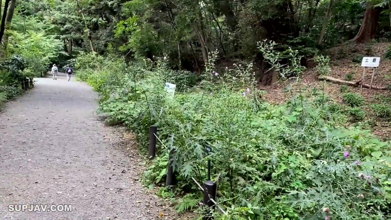 Asian happy ending: Asijský anděl 21103