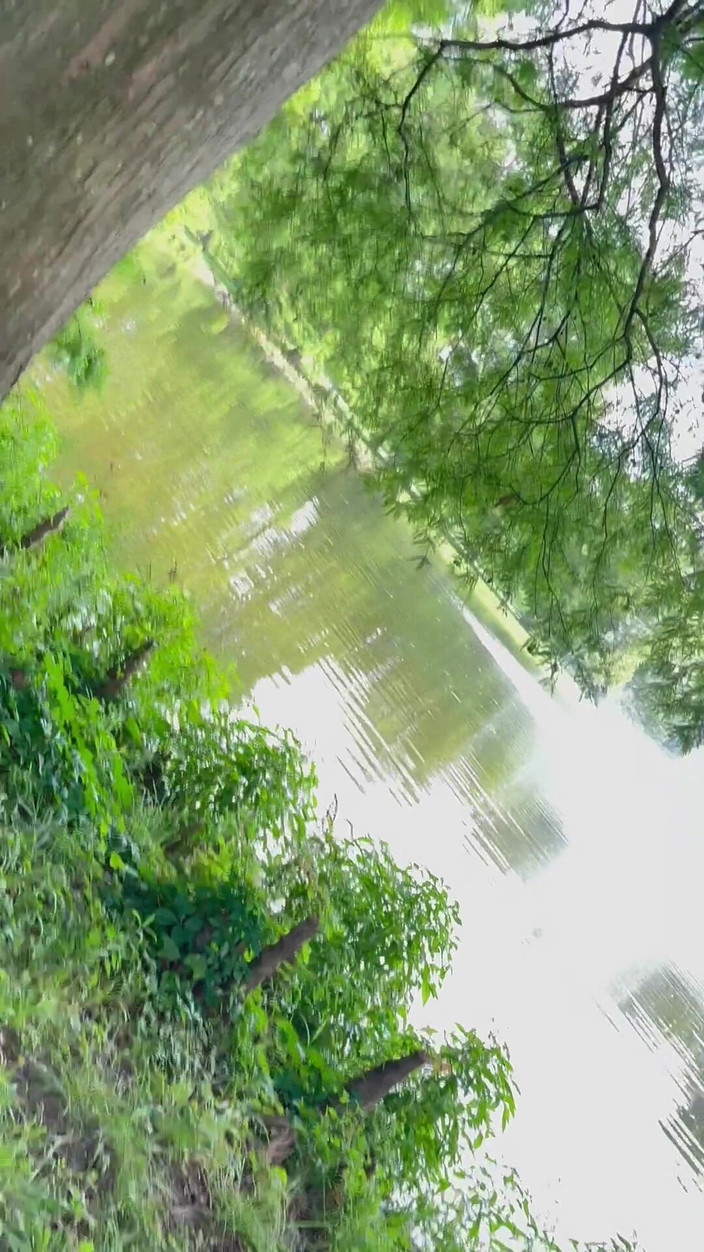 SexLoveRed: 공원에서 벌거벗은 나를 잡아라