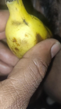 New Married Couples Enjoying Fantasy Romance Using Banana While in Bed