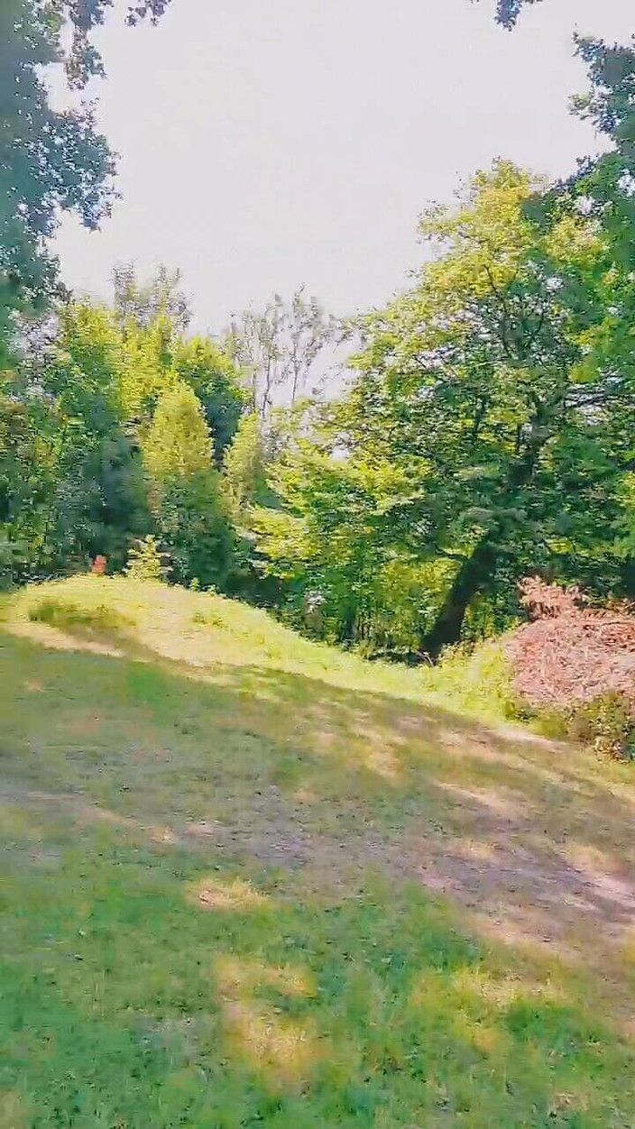 Slutboyben: Slutboyben Cam4 Ahli pameran bintang lucah seksi IX