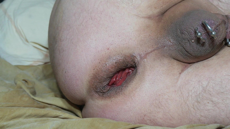 Qualzucht: 발라발라 주부