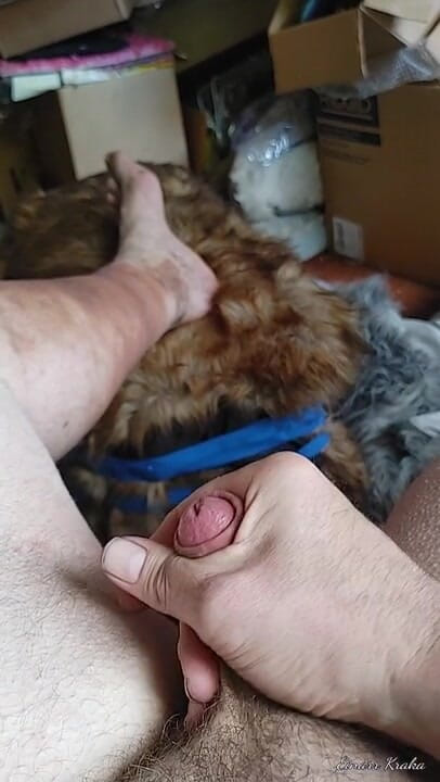 BigManShaman: Tugging the Cock
