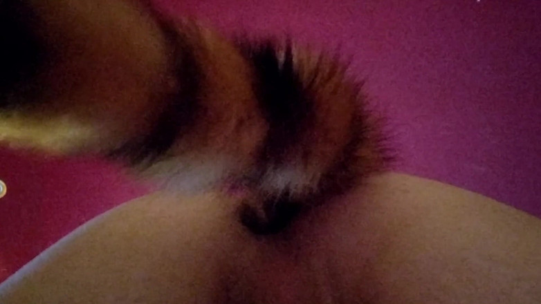 Joslin: Джослін трясе анальною хвостовою пробкою