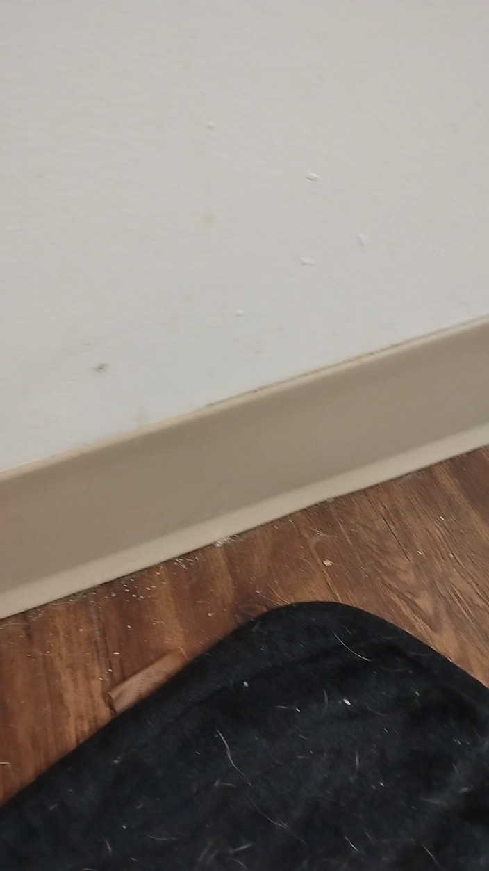 JG Risk: 11-26-2025 Roztomilé malé prsty