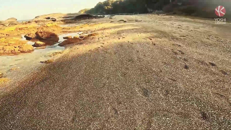 Yoshi Kawasaki XXX: Yoshikawasakixxx - Yoshi kawasaki伸展axel abysse Hole