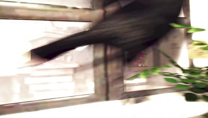 Divide XXX: Dezmall - Red Ninja