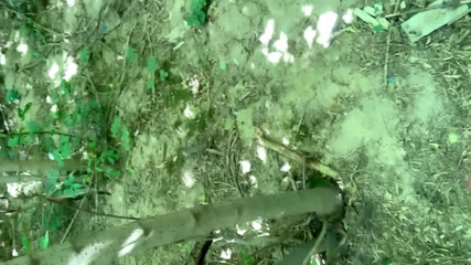 Idmir Sugary: Amatör genç kız büyük boşalma parkı