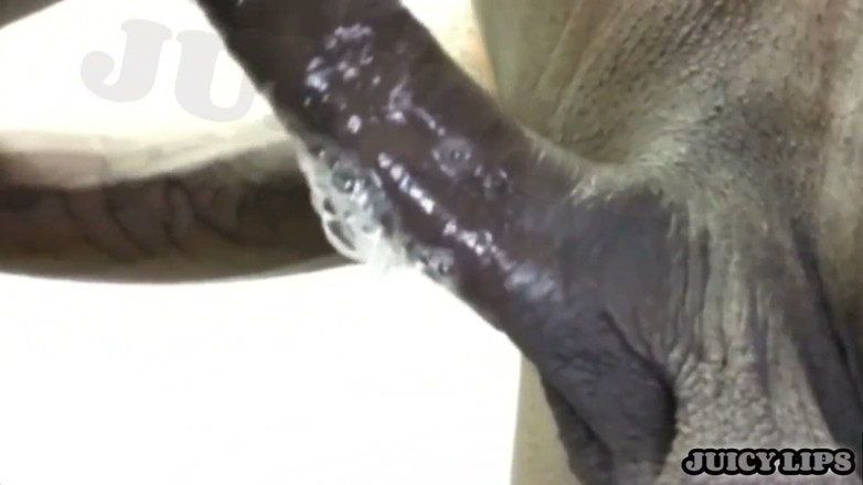 Bigmaj414: Juicy Lips- Pull up an Gives Him the Sloppies Head...