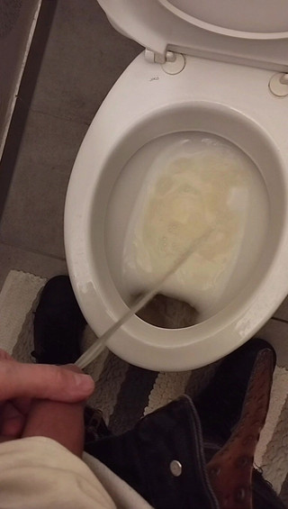 Bayer911: Pissen-mix 2