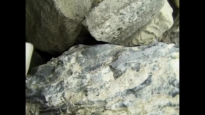 Blitzporn: Casey Klein: Sbattimi Come Una Troia E Sborra Forte Su...