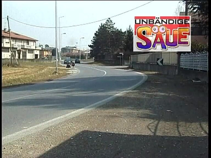 SinWorld - Just the best in porn: Baculatá prasátko s mladými kundičkami