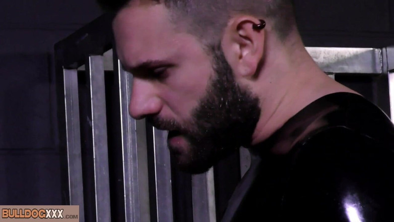 BullDogXXX: BullDogXXX - Gumowe ćwieki