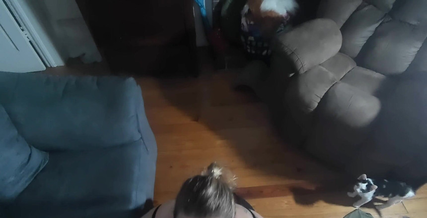 ScaninForFun: देखने का बिंदु सोफे पर चुदाई -n- चूसना