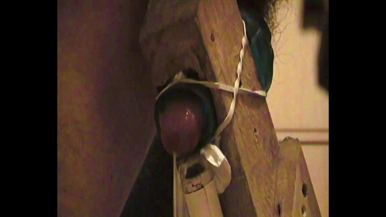 Mark Hannes: Masturbare de Crăciun cu carne și futai