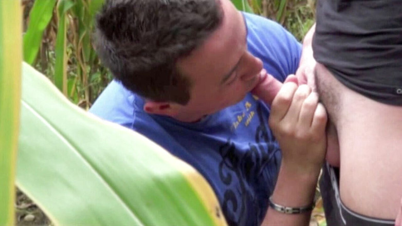 Discret Cruising sex: Pelacur disetubuhi dalam kampanye jelajah exhib