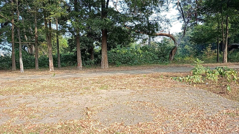 LinearOrnament35: अपने को कैसे लंबा करें: इसे 7 इंच लंबा बनाने के लिए 5 कसरतें