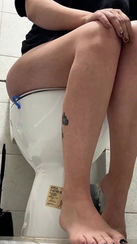 The Daily Toilet Temporada 3 Episódio 12
