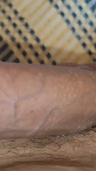 Curvilinear Pulsation of the Robust Cummed Limb