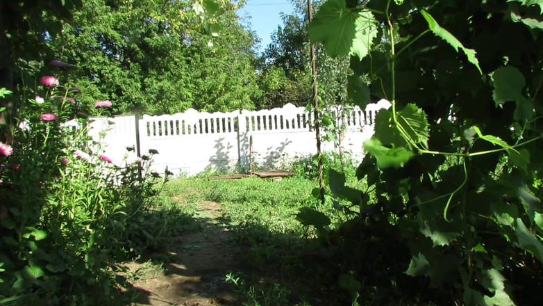 SexyAnka: Podělím se s vámi o moč, kterou jsem sebral na...