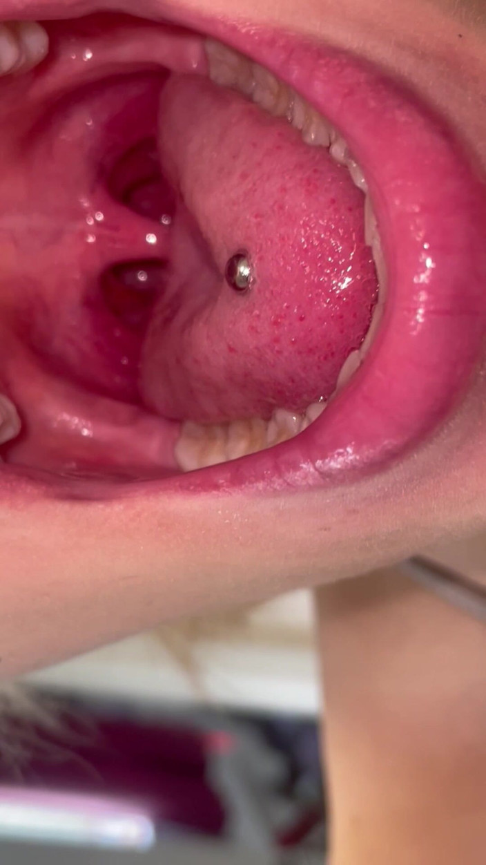 Glitterqueen1999: マウス・ツアー