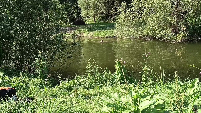 kickerscooter: Spiaggia nudista
