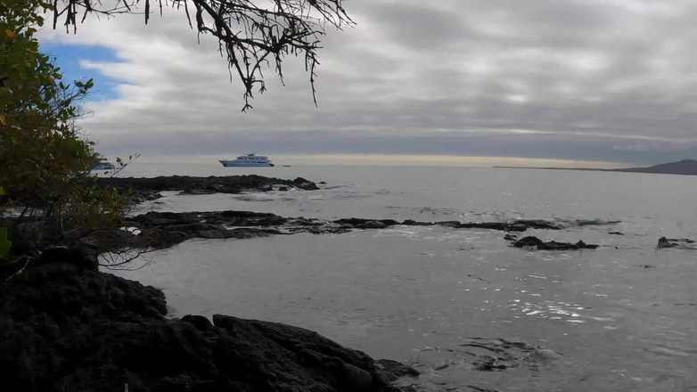 Jade Kink: Pipe Et Facial Amateur Rugueux Dans La Nature