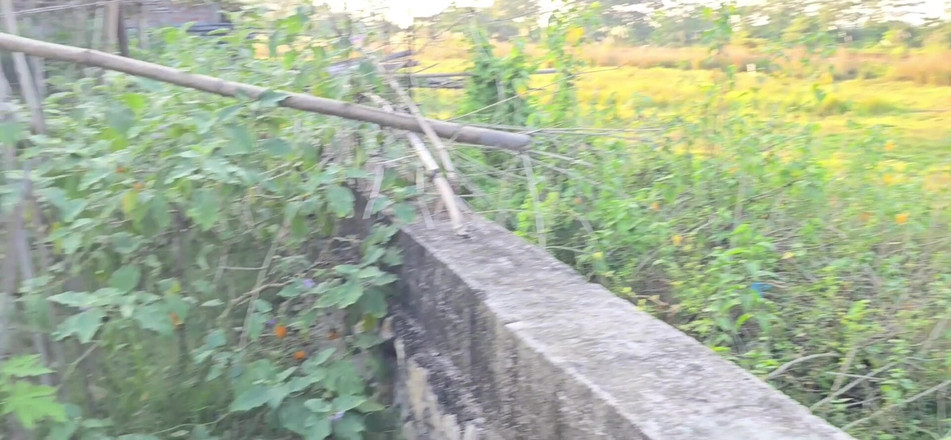 SafeRosebush8: Індійське х купання, відео порно відео