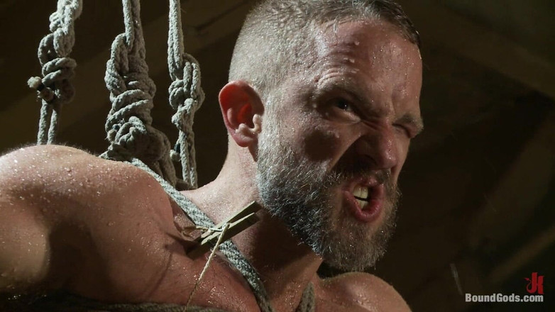 Bound gods: Pria di Prowl