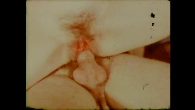 Vintage Usa: 购物中的柑橘水果