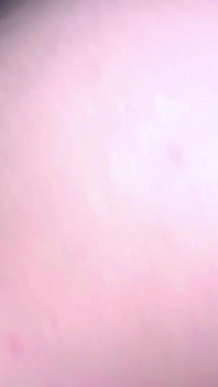 Thick Wife Rides a Fat Dick and Gets Creampied