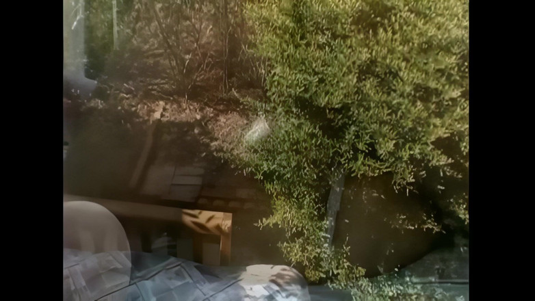 2 much love: Ma Femme Enceinte, Pleine De Lait, Veut La Bite De...