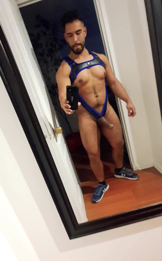 Guarro Studios: Testând noul meu ham