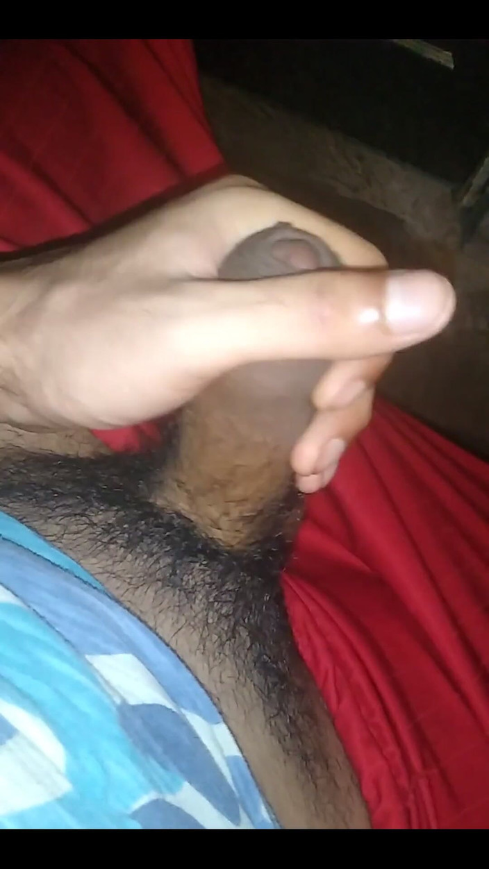 AlexAlejandro13: 拉鹅的一天