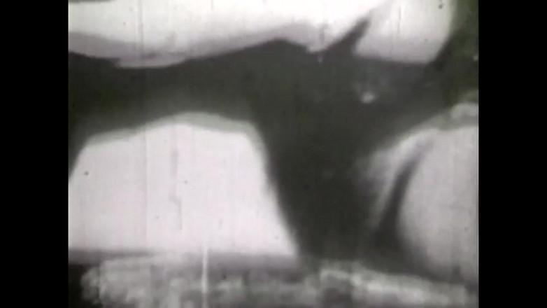 The Unforgettable: Стать ніколи не змінюється